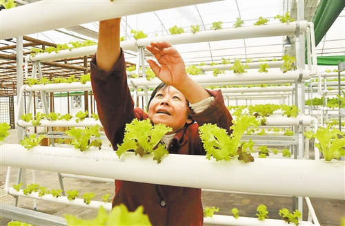 ���죺���������߲� ��̬�߲�Ч��ȴ�ͳũҵ����10��