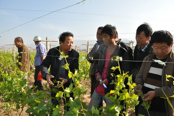 ���ϱ����ؽ�ţ��ѿ��ðᵽ��䡰����롱���񴺸�