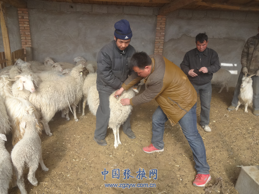 �����̨�ϻ�����ʵ��չ���ݷ���