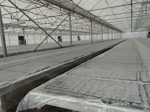 阳春三月,草长莺飞,正是一年春耕播种农忙时节。3月11―15日,县农业局经作站全体员工紧抓农时,放弃节假日休息,在磐安镇现代农业示范园指导当地 农户育苗。经过连续几天的奋斗,园区2015春季育苗工作现已圆满完成,以甘谷线椒为主,共计4大类,10个品种,育苗40万穴。