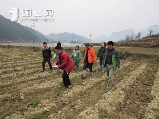 贵州江口:干群连心“闹春耕”