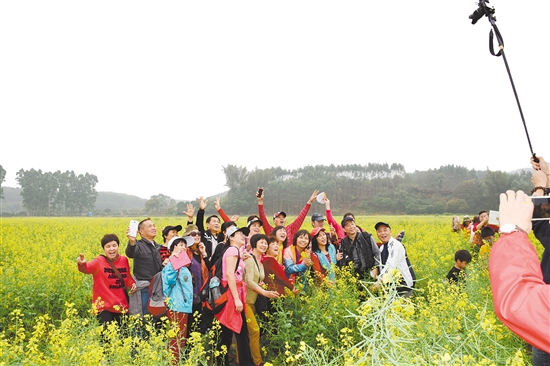 2015年广东江门市乡村旅游文化节启动打造“醉美江门100村”