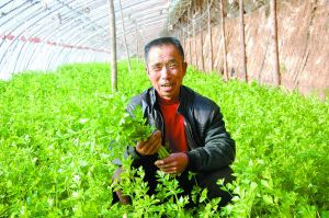 ���ɹ���������ÿ�������л��߲�3500�򹫽�