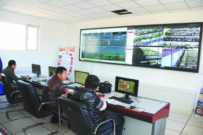 北京密云:数字云平台 遥种外埠草莓