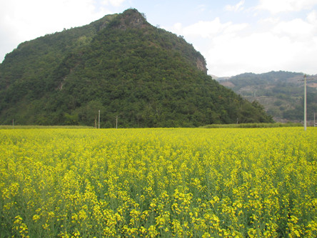 ���ϲ�Դ����������۹�ũҵ��ҵ