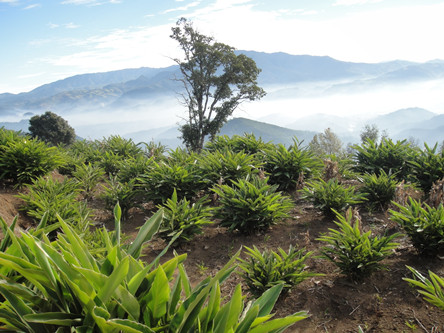 ���ϲ�Դ����������۹�ũҵ��ҵ2