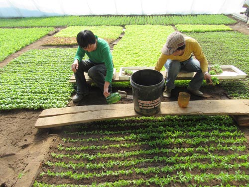 �������׸������ⰻȻ�߲˴��ﴺ����