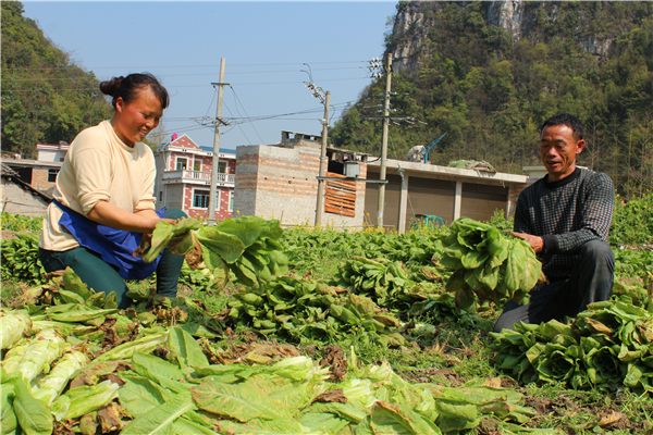 ֲ߲˳Ϊݳ˳ũ¸·ʽ