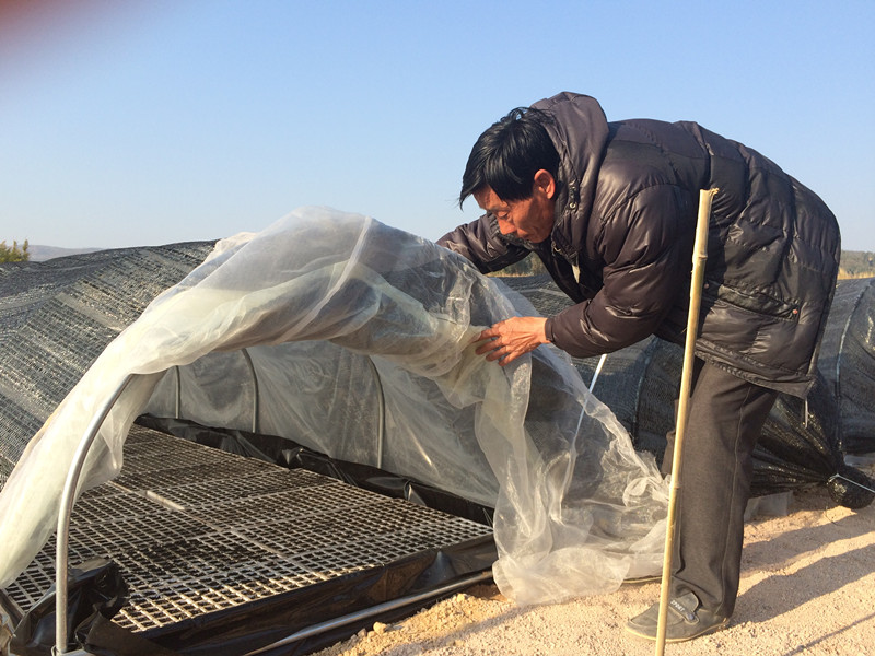 ���Ͻ�����ǰ����רҵ������ ��֤Ʒ�ִ���