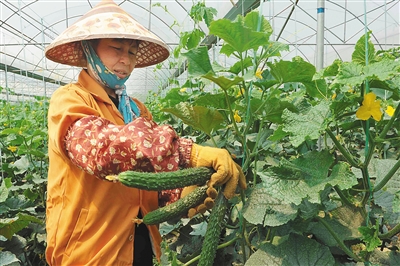 ���ϳ�����ϳ����ڵ�