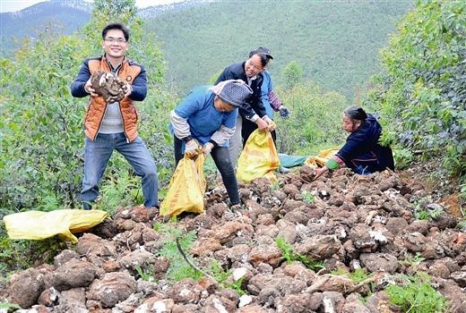 ������˼�أ����¸��������� �׳��������ޡ�