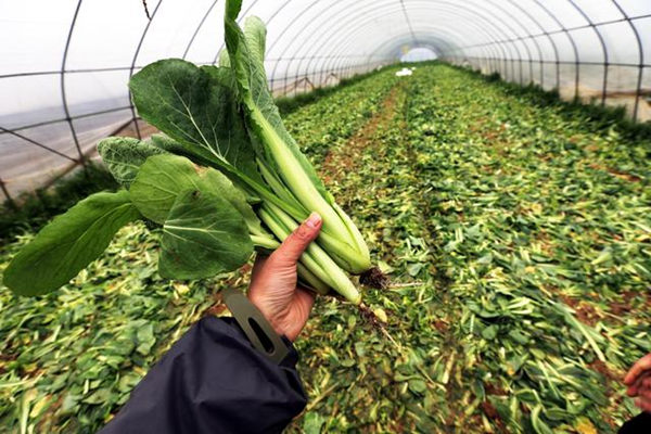 ����������500���л��߲�����ι�� ��޲�ũ