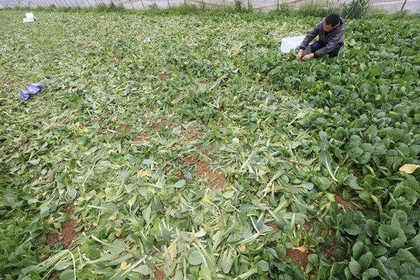 ����������500���л��߲�����ι�� ��޲�ũ2