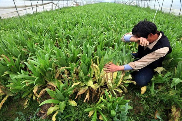 ����������500���л��߲�����ι�� ��޲�ũ4