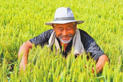 ���ϣ���������ʳ�������š����ơ�