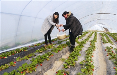 ���պ����д����ݮ���������ο�