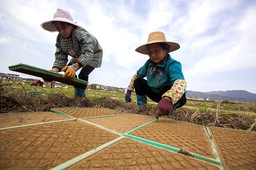 322գڽʡزƽ壬ũˮϰڷ̡