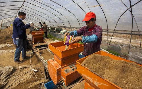 322գڽʡزƽ壬ũˮˮ