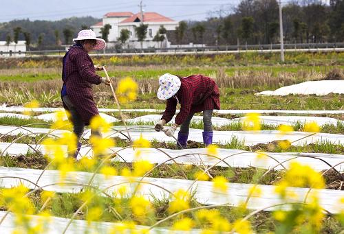 322գڽʡزƽ壬ũˮΪ̸ǱĤ