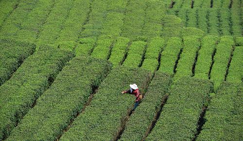 ºþ±±²èÏçÈ«Ãæ¿ª²Éвè