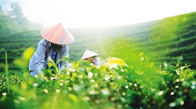 ������ָɽ��ˮ�������¶ѿ ���п���������