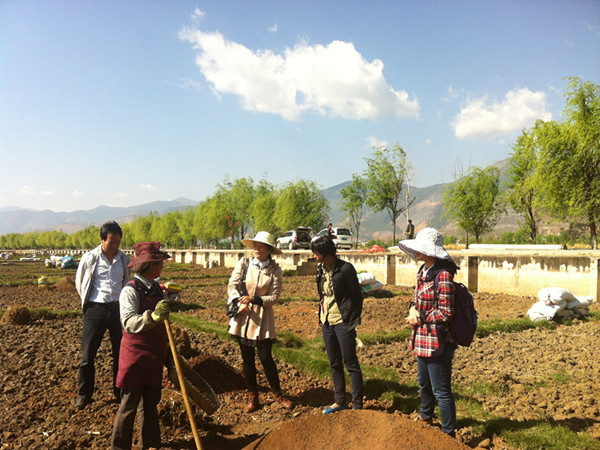 ����ʡ��ֲ��ר�ҵ������ؿ�չ������������