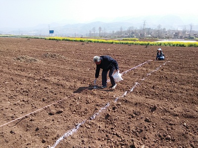 ����ʡ��ͨ�������ִ�ũҵ���ײ�ҵ������ϵ�������������ɻ���