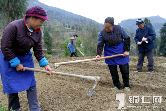 ����˼�Ϸ�չ��Ԫ����Ԫɽ12��Ķ