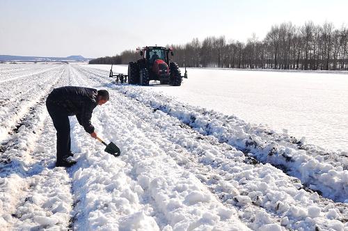 ������������е��ѩ������