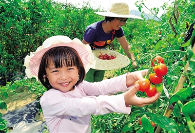 �������������ܵظ���ʥŮ�����ɱ�������