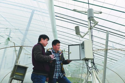 涡阳县农业部门开展以送科技、送良种、送技术、送信息为主的科技下乡活动;县气象局在6个乡镇20个行政村安装气象检测设备,通过气象云数据及时反馈农户,指导农民春耕备耕。