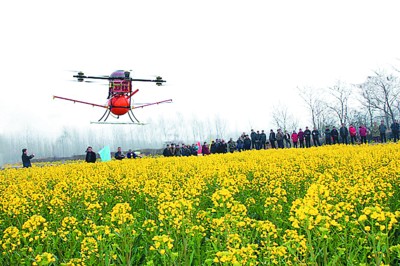 日前,肥东县农委利用无人飞行植保机,帮助农民开展农作物病虫害统防统治,努力夺取午季粮油丰收。