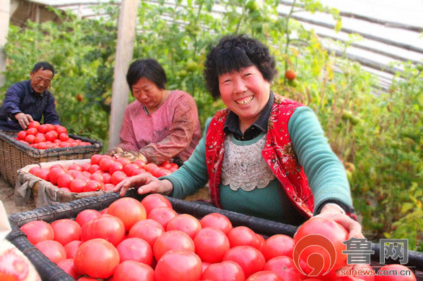 ɽ���Ͳ����ࣺ���조һ��һƷ���¸���