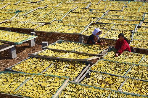 ɽ����ׯ�У����ظ�Ů׬����Ǯ��