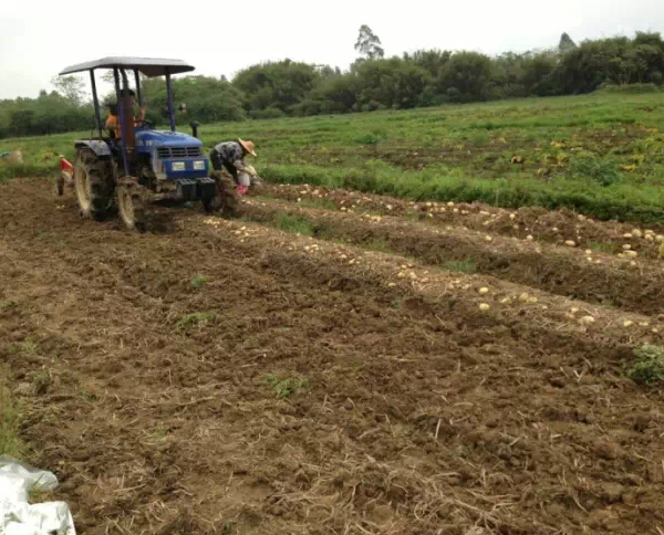 㶫ƽекˮԭƬõľǶƽ