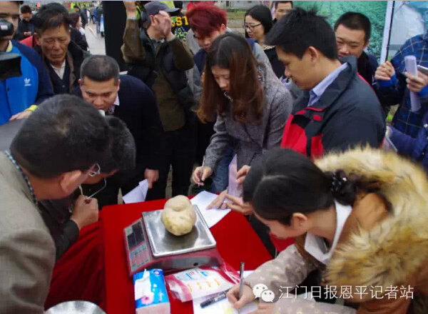 �㶫��ƽ�е����к���ˮ����ԭ����������Ƭ�õľ��Ƕ�ƽ������3