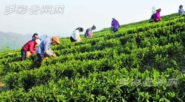 ����ʡ���������ժ�չ�����