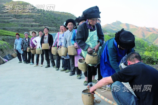 ������Ӫ��ɽ��԰��������չ���Ů�ǵ����ժ�Ĳ��ࡣ