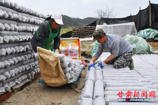 ����¤��������ʳ�þ���ҵ����ȫ�淢չ�쳵��