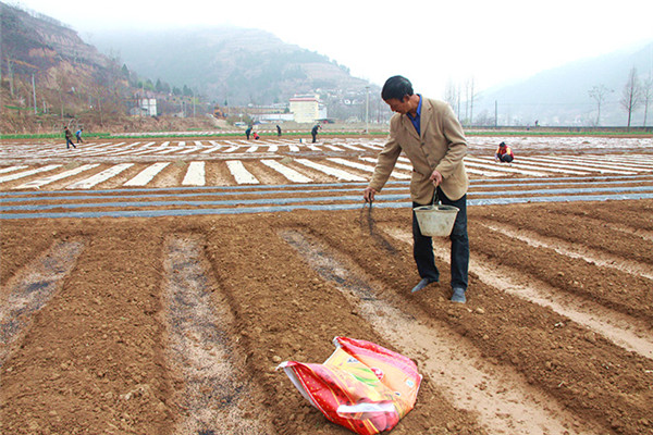 �������������ũ������������ʩ��