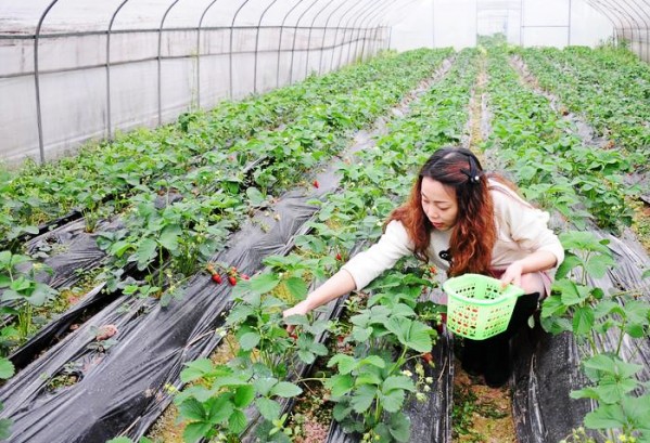 ���콭������ݮ������ ÿ����ǧ�ο�����ժ