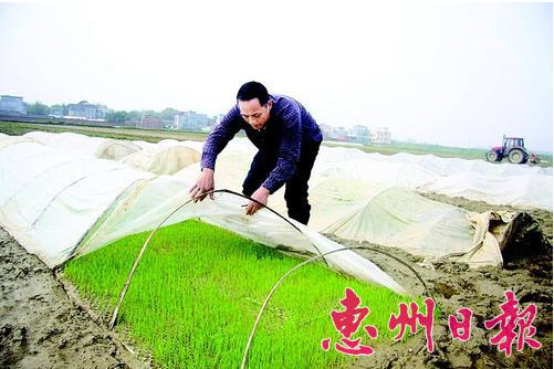 �㶫�����в��޽���ƻ�����ũ�������Լ112��Ķ