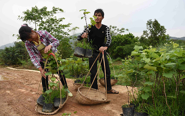 �������ݣ�������ֲ��ũ��