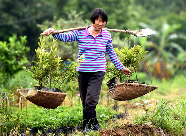 3��25�գ�С����Ѽƺ�廨ũΤ������ֲ���硣