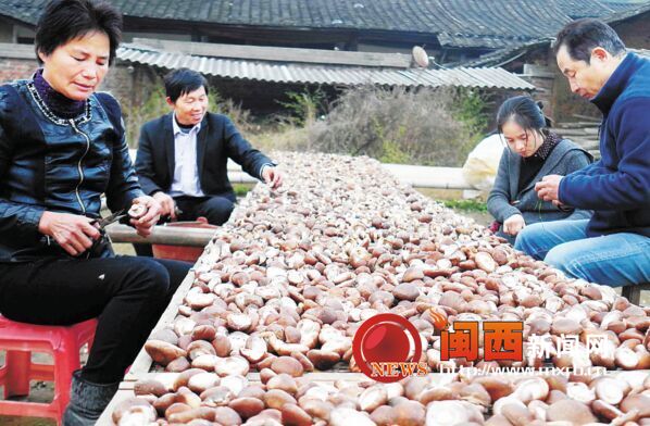 ȥ긣¾òֵͻ100Ԫ105.8%