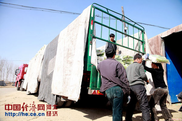 正在包装准备出口