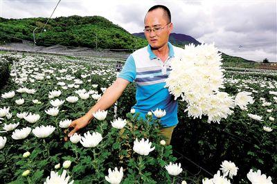 ������ָɽ�׾�Զ�������ձ� ��ũ��������·��