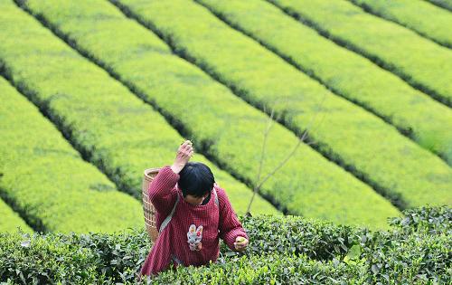 329գںʡկ̨壬ũź²ɲ衣