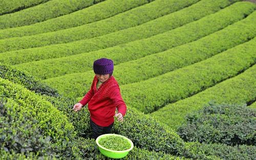 329գںʡկ̨壬ũź²ɲ衣