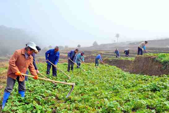 ����ʯ�����ɽⴺ���������ù��ġ�����